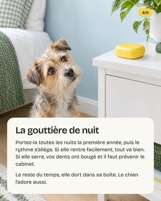 Quatrième image&nbsp;: un chien couché près de la boîte de la gouttière, «&nbsp;La gouttière de nuit&nbsp;»